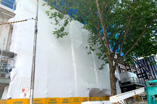 Photo-16-11-19,-2-00-33-pm